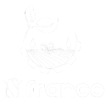 MS-FRANCE-logo-docshipper