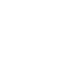 docshipper-fschina-logo
