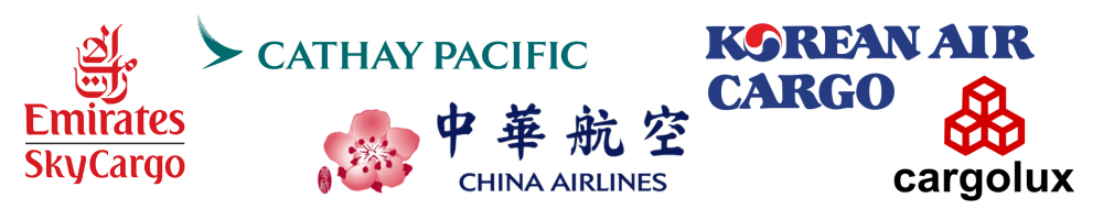 top global air freight companies in Vietnam